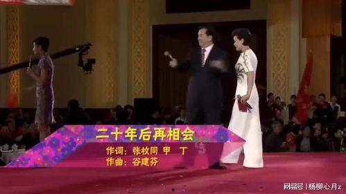 二十年后的重逢,旧友再聚首，共叙往昔情谊